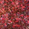 Coprosma Pacific Sunset 1 Coprosma Pacific Sunset -MAO PLANTES Magasin Coprosma repens Pacific Sunset 88790 1